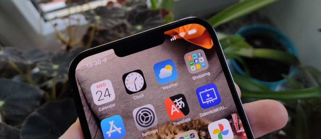 iPhone 13 Pro Max
