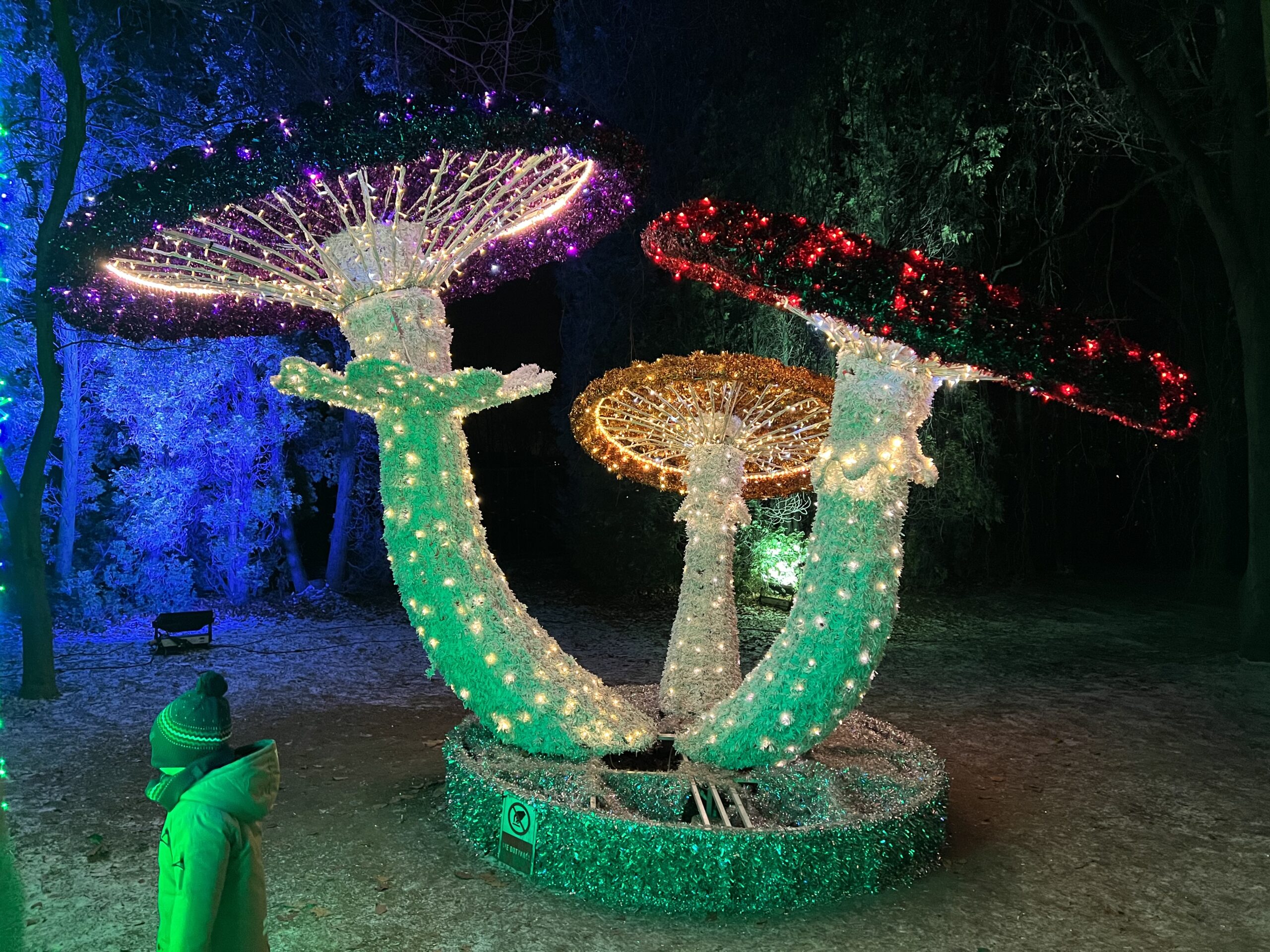 Lumina Park Lublin