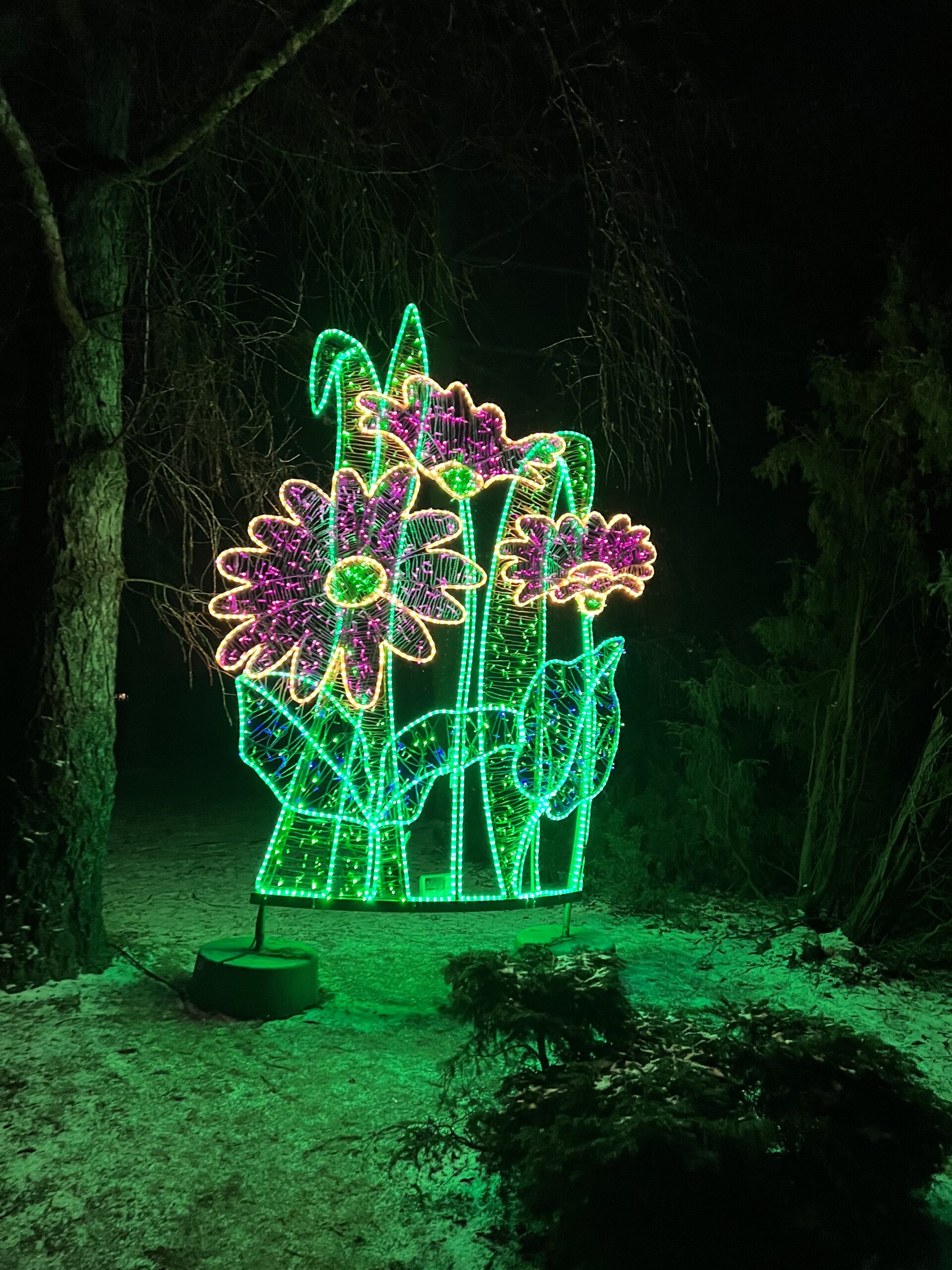 Lumina Park Lublin