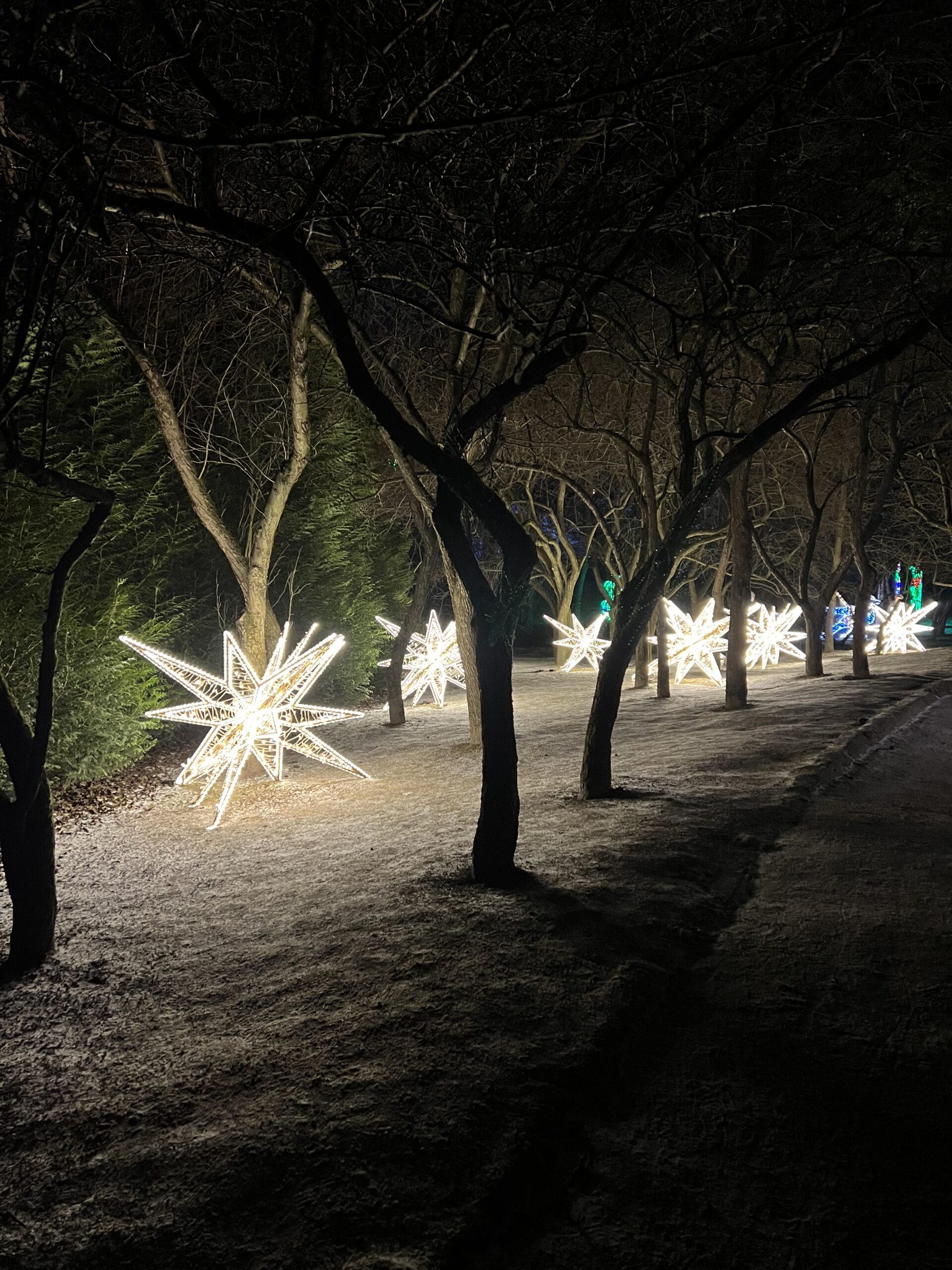 Lumina park