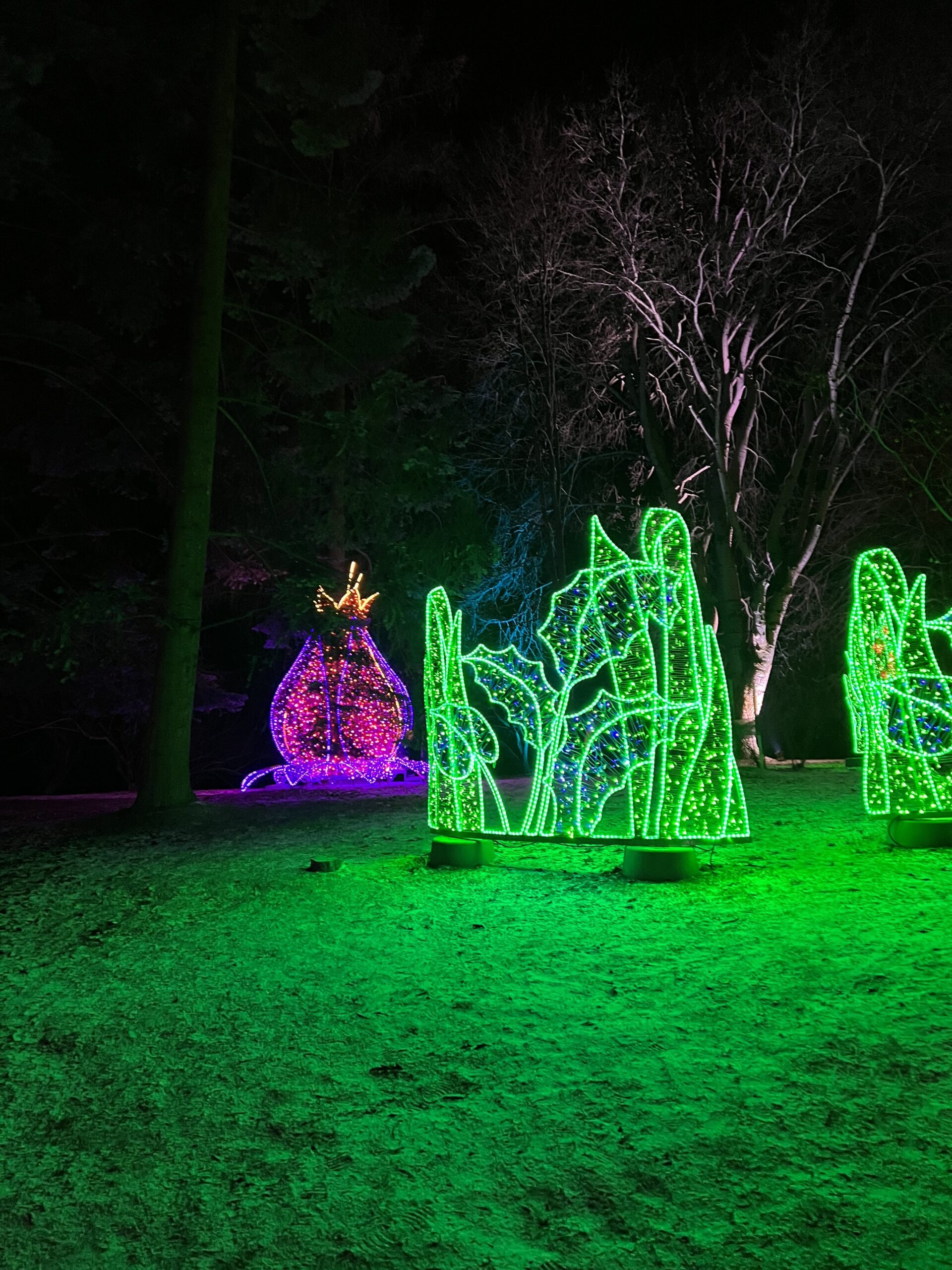 Lumina Park Lublin