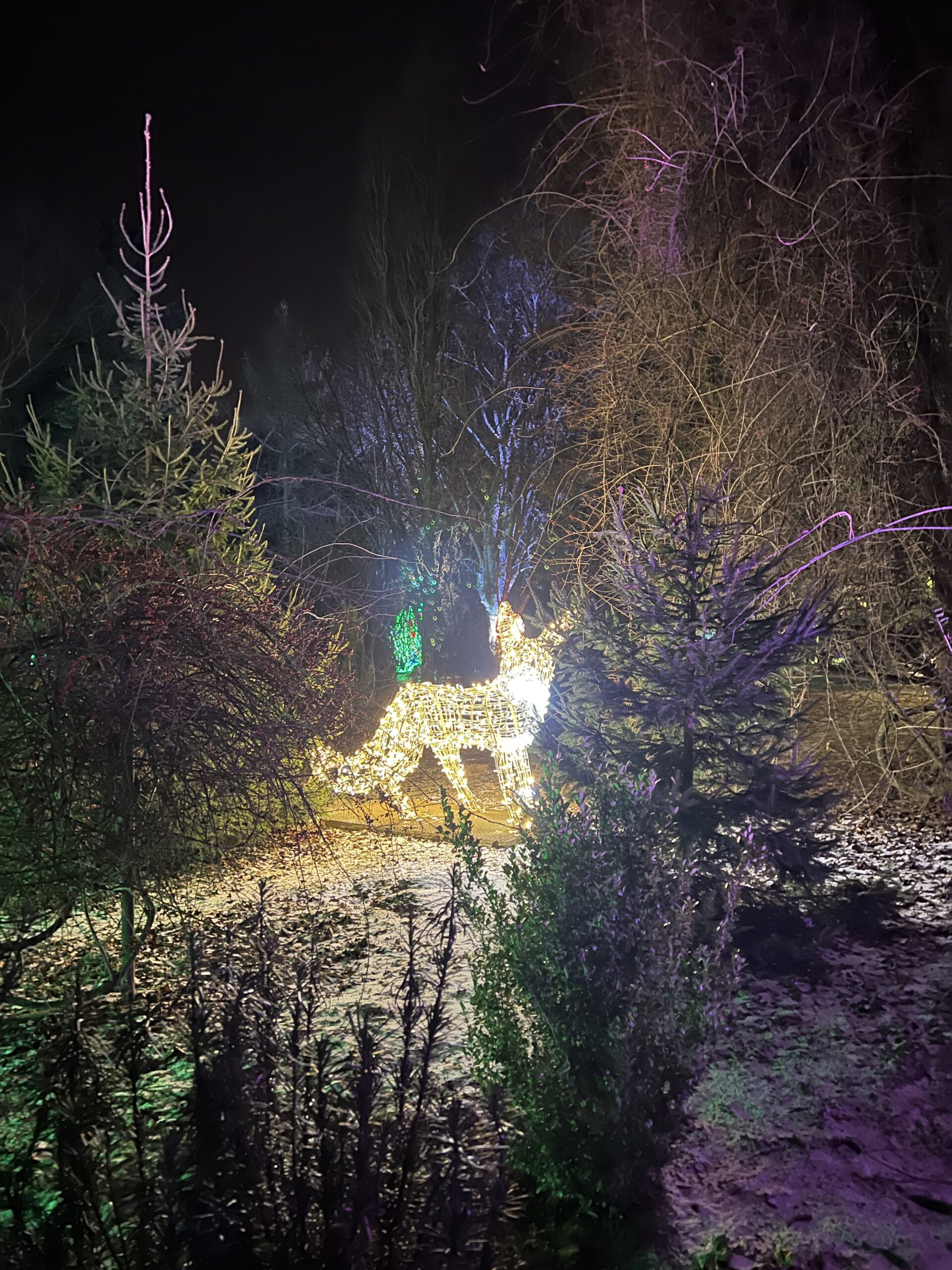 Lumina Park Lublin