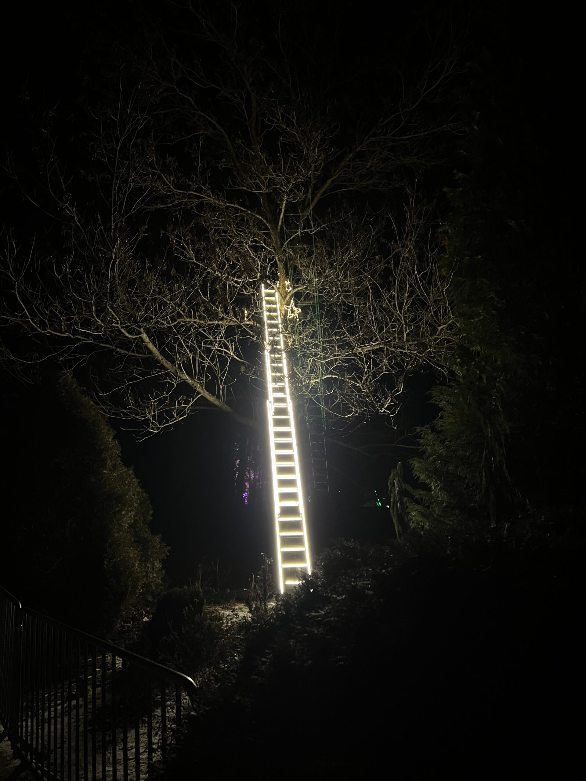 Lumina park