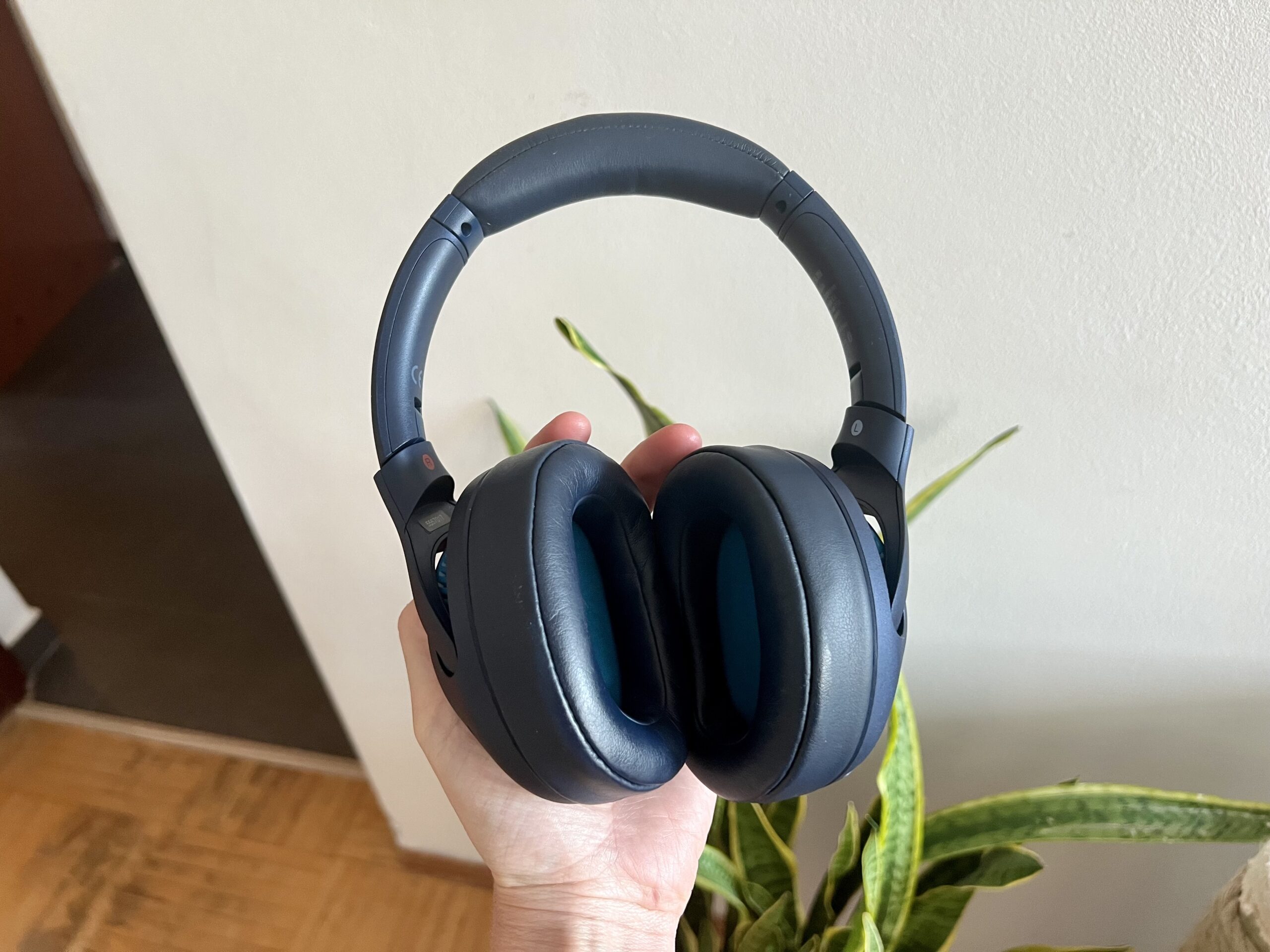 Sony WH-XB900N