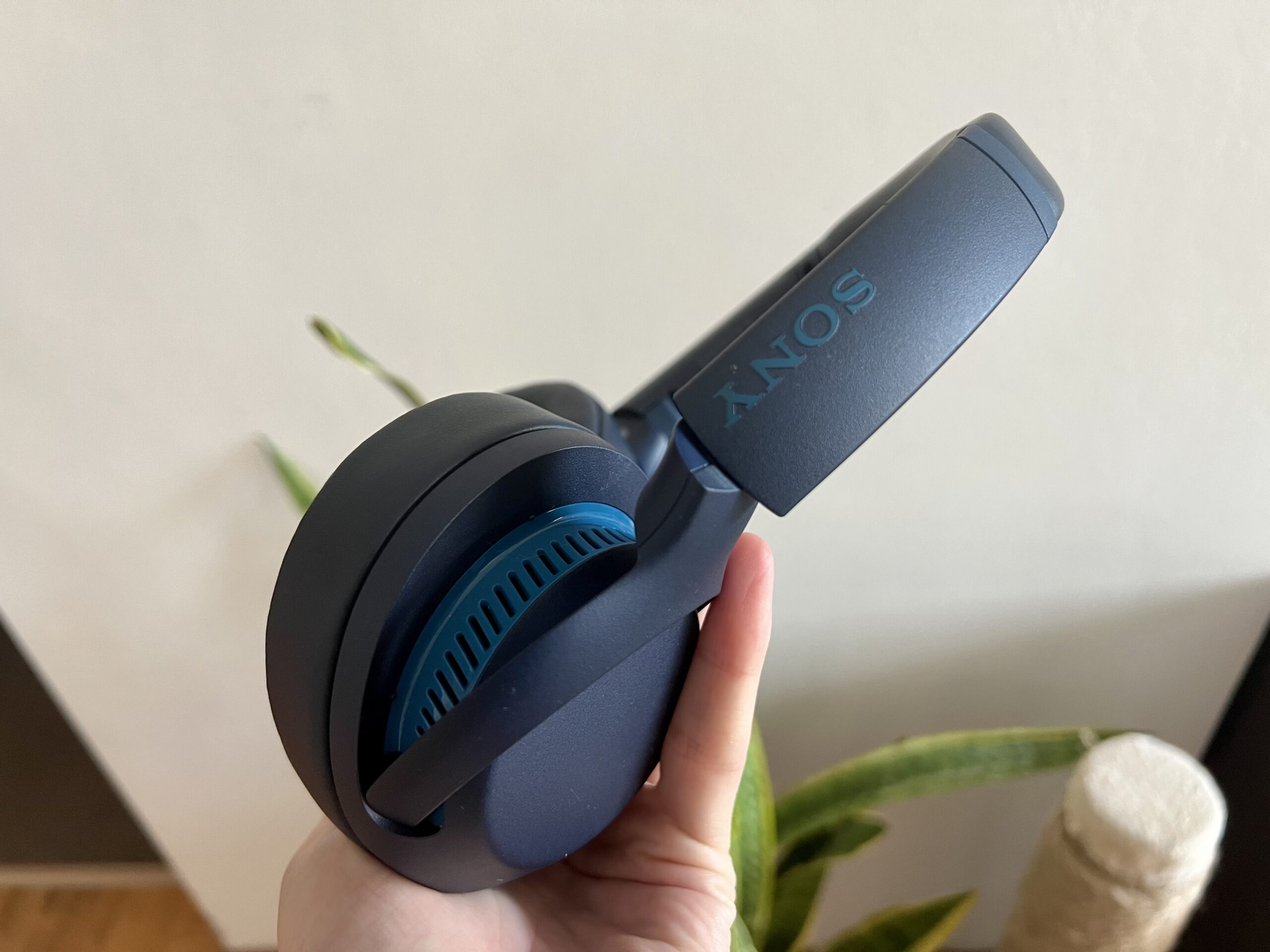 Sony WH-XB900N