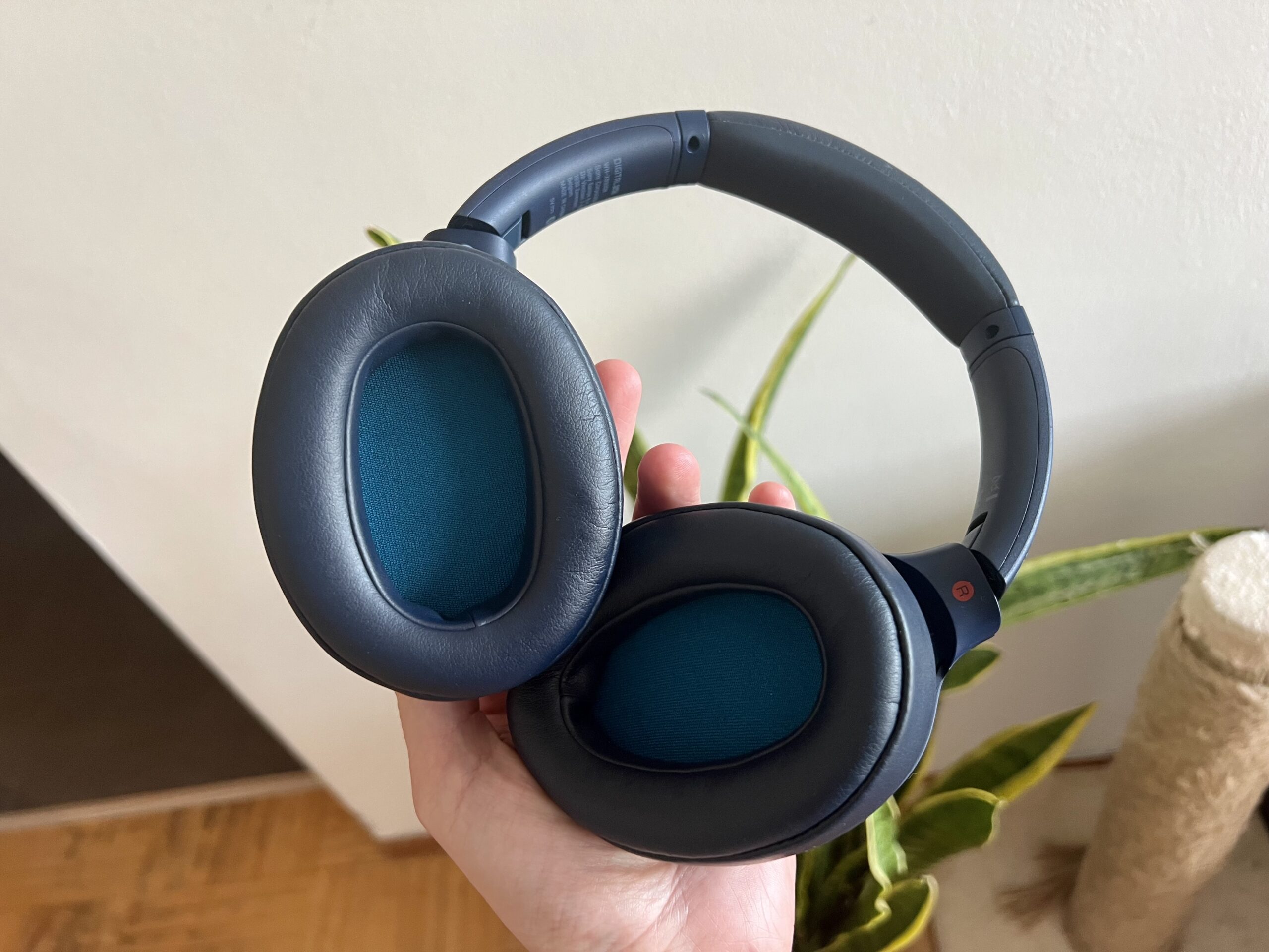Sony WH-XB900N