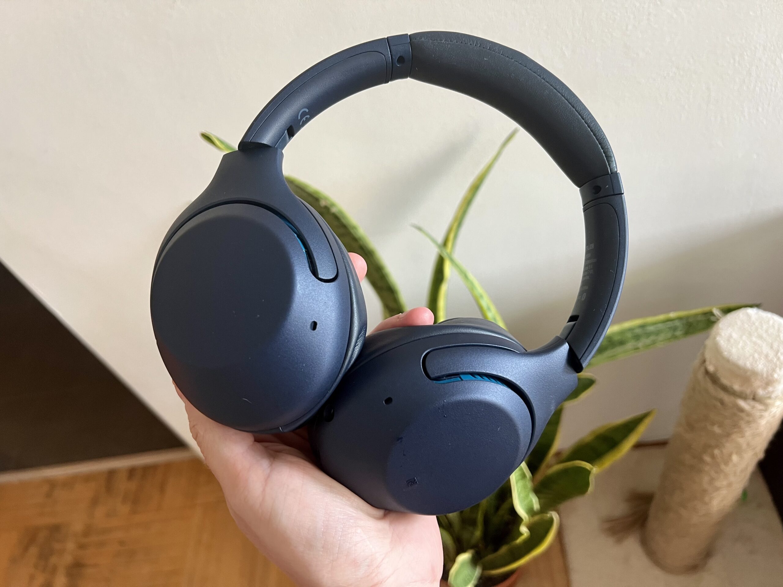 Sony WH-XB900N